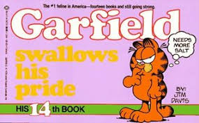 Image result for garfield 14