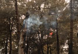 Leonoticias - News update