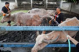 ANTARA Foto - News update