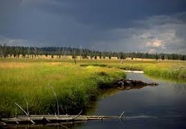 Image result for williamson river