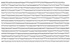 Transcription - Genetischer Code