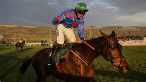 Paddy Power: What You Need to Know About the Cheltenham Festival 2026