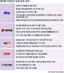 선거 공약
