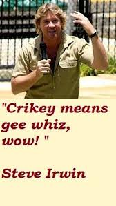 Steve Irwin on Pinterest | Crocodiles, Bindi Irwin and Hunters via Relatably.com