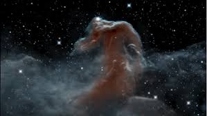 Image result for NGC 4921