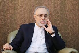 واکنش عجیب صالحی به احتمال آغاز مجدد جنگ علیه ایران