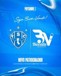 paysandu.com.br - News update