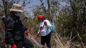 Desaparición forzada: “aquiescencia” la razón del extravío