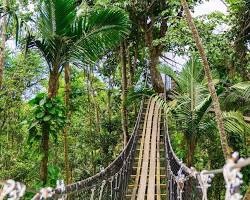 Zoo de la Guadeloupe au parc des Mamelles, Bouillante