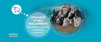 Gov.pl - News update