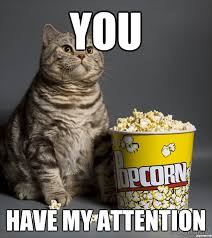 Image result for You've got my attention