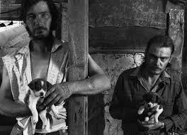 Résultat de recherche d'images pour "shelby lee adams photos"