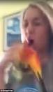 pictures of 2 parrots kissing girlfriend in front of parents