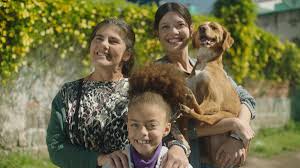 "Caju, Meu Amigo": filme sobre cachorro resgatado da enchente promete emocionar na "Tela Quente"