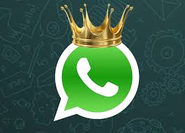 Resultado de Imagem parágrafo whatsapp