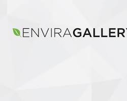 Image of Envira Gallery WordPress plugin