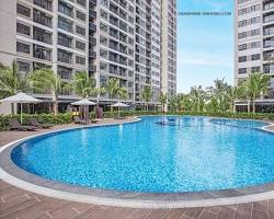 Hình ảnh về Hồ bơi Vinhomes Grand Park