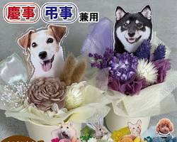 オリジナルペットアクリルスタンドの飾り方の画像