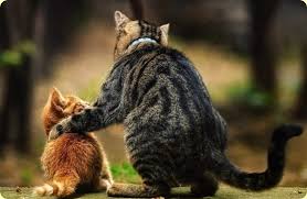 Картинки по запросу картинки счастье