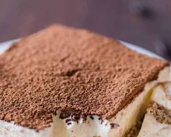 Tiramisu dessert