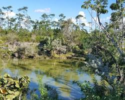 Rand Nature Centre, Bahamas, with lush greenery and a winding trail