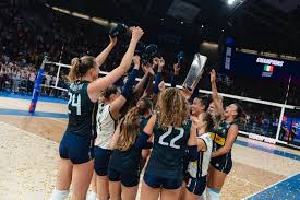 | Federvolley - News update