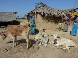 Image result for bihar images