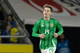 What time and TV channel is Denmark v Northern Ireland on today in friendly action?