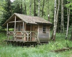 Image of tiny home built on a foundation in a Texas forest