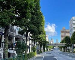 キラー通り 外苑西通りの画像