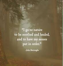 Inspirational Nature Quotes on Pinterest | John Muir, Henry David ... via Relatably.com