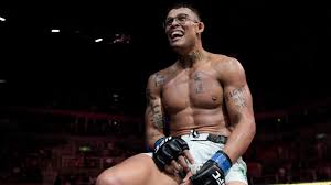 UFC Paris 2025: Les prix des billets révélés! Préparez votre portefeuille! - Imagen principal del artículo