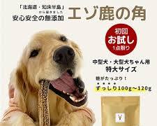 Yahoo!ショッピング 犬のおもちゃの画像