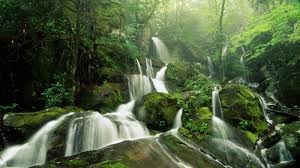 Image result for hd wallpapers 1080p nature 3d