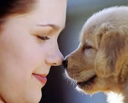 Resultado de imagen para imagenes de amormascotas
