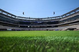 A Piece of History, or a Pricey Patch of Grass? FIFA's $450-$3,000 World Cup Final Turf Gamble