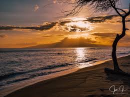 Maui Now - News update