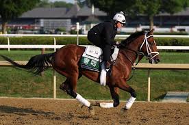 2025 Belmont Stakes: Sovereignty, Journalism, and Longshots