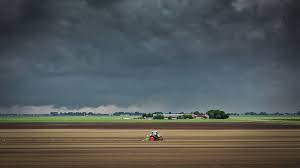 Zaterdag in hele land code geel vanwege onweersbuien met hagel en rukwinden