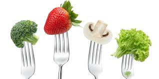 Resultado de imagem para imagens de GARFOS