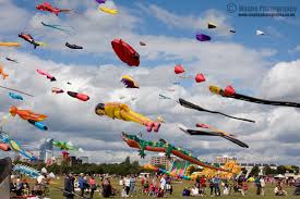 Image result for kites