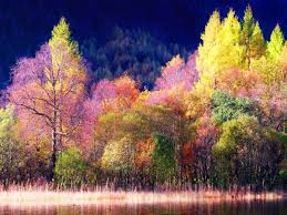 نتیجه تصویری برای عکس های پاییزی زیبا