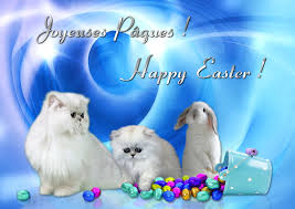 Résultat de recherche d'images pour "paques chats"