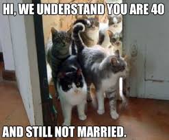 Image result for hi meme