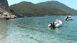 Αποτέλεσμα εικόνας για Σχίνος