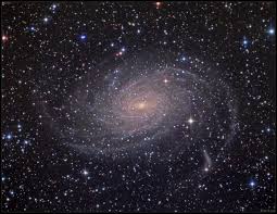 Image result for NGC 1365