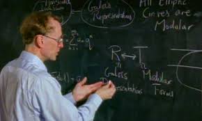 Image result for andrew wiles