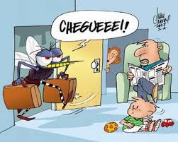 Resultado de imagem para CHARGES - dengue no brasil