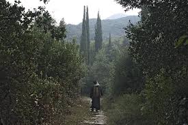 Αποτέλεσμα εικόνας για άγιο όρος