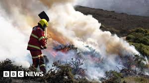 Wildfire Alert: How One Fire Pit Ember Could Spark a UK Crisis Like the US 'Firewave' – Are You Prepared?